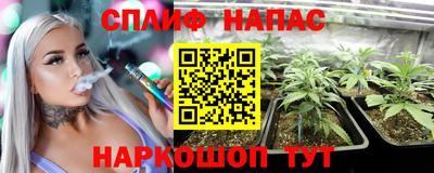 МДПВ Гусев